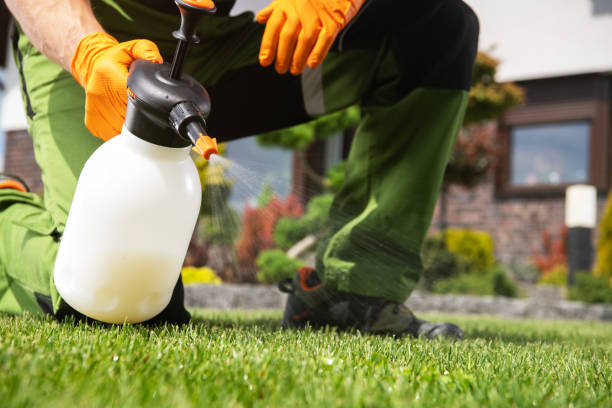 Best Bird Control  in Fair Oaks, GA