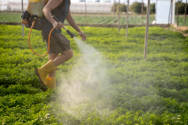 Best Affordable Pest Control Services  in Fair Oaks, GA