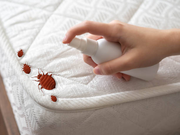 Best Pest Prevention Services  in Fair Oaks, GA
