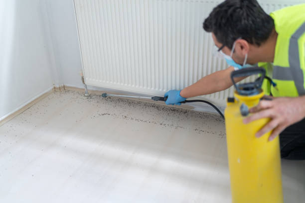 Best Flea Control Services  in Fair Oaks, GA