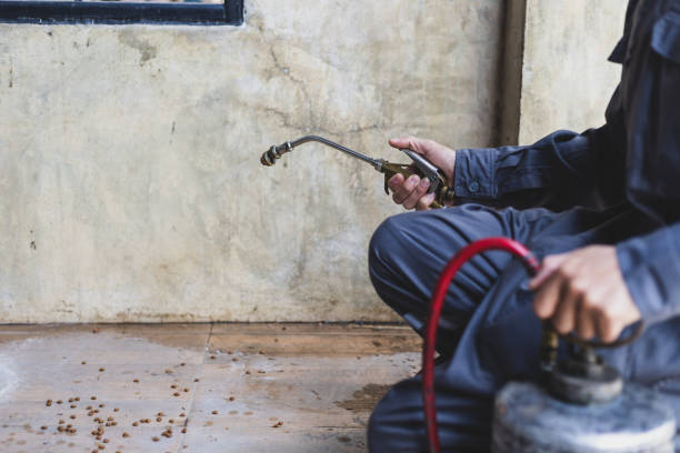 Best Pest Removal Services  in Fair Oaks, GA